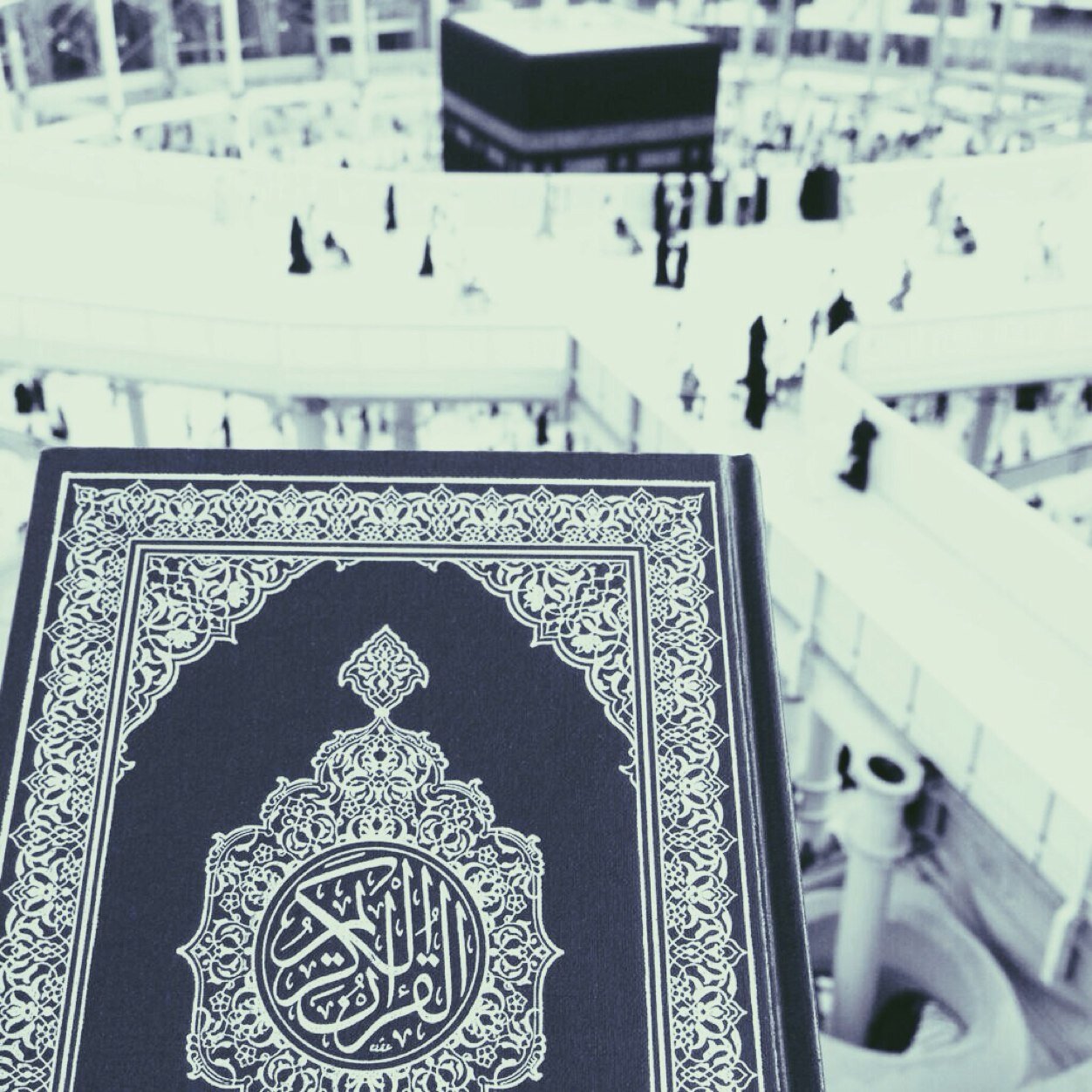 thepuremuslixm's profile picture. 