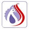 dealers in- Immitation jewellery raw material, plastic beads- glass beads & embroidery materials