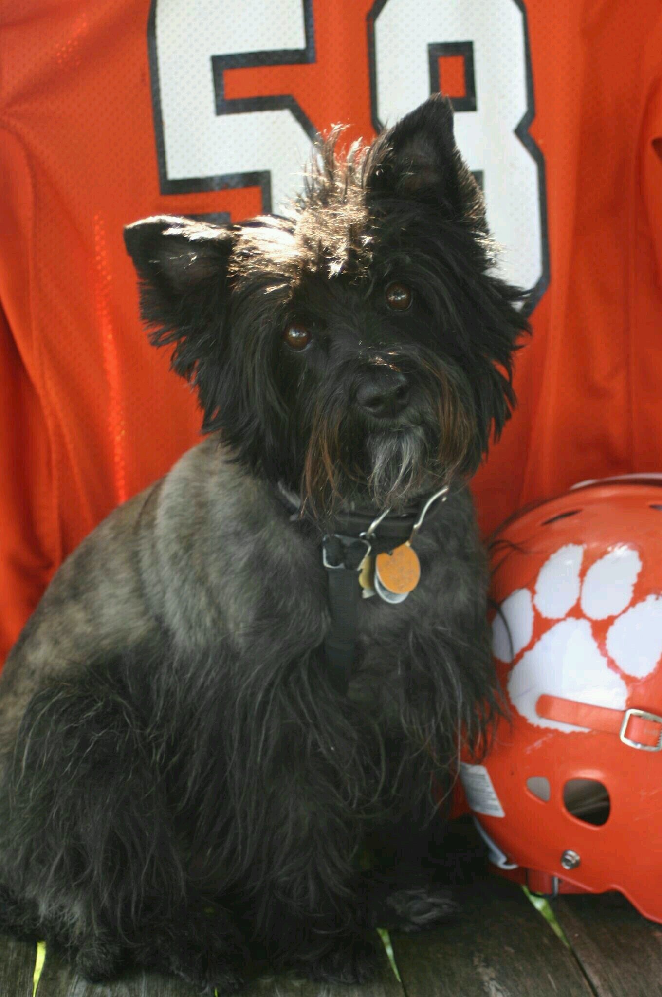 KandiBlanton Profile Picture