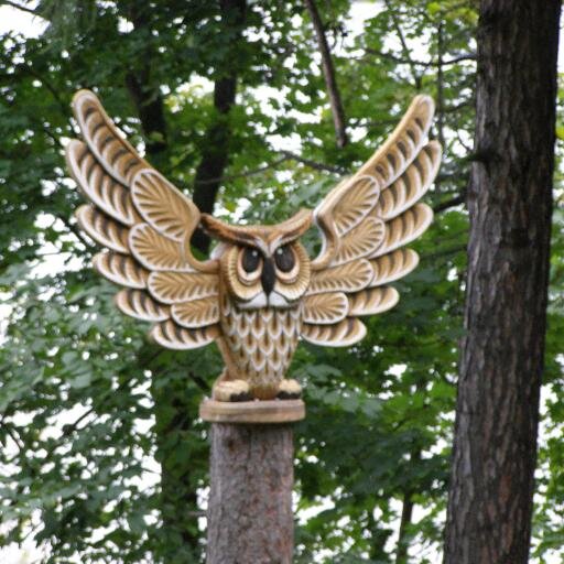 Alex55525GR's profile picture. 