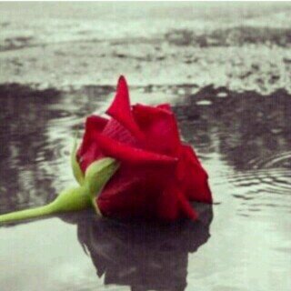 آلهي آنكك ترى مَ لا آرى
وَ تعلم مَا لا آعلم ؛ ف آكفني شر ... مَـا في آلغيب ♡♡