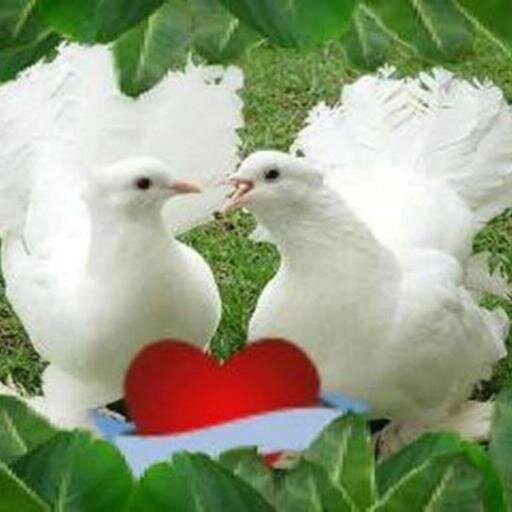 syafithreerinie's profile picture. 