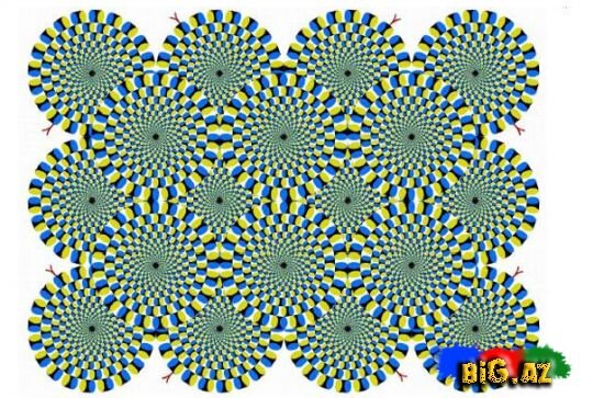 burhan_mamedov1's profile picture. 