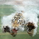 Leon Siebert - @6e864be1628148c - Twitter