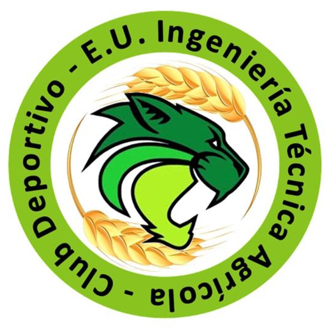 Equipos de rugby masculino y femenino de la EUIT Agrícola (UPM)