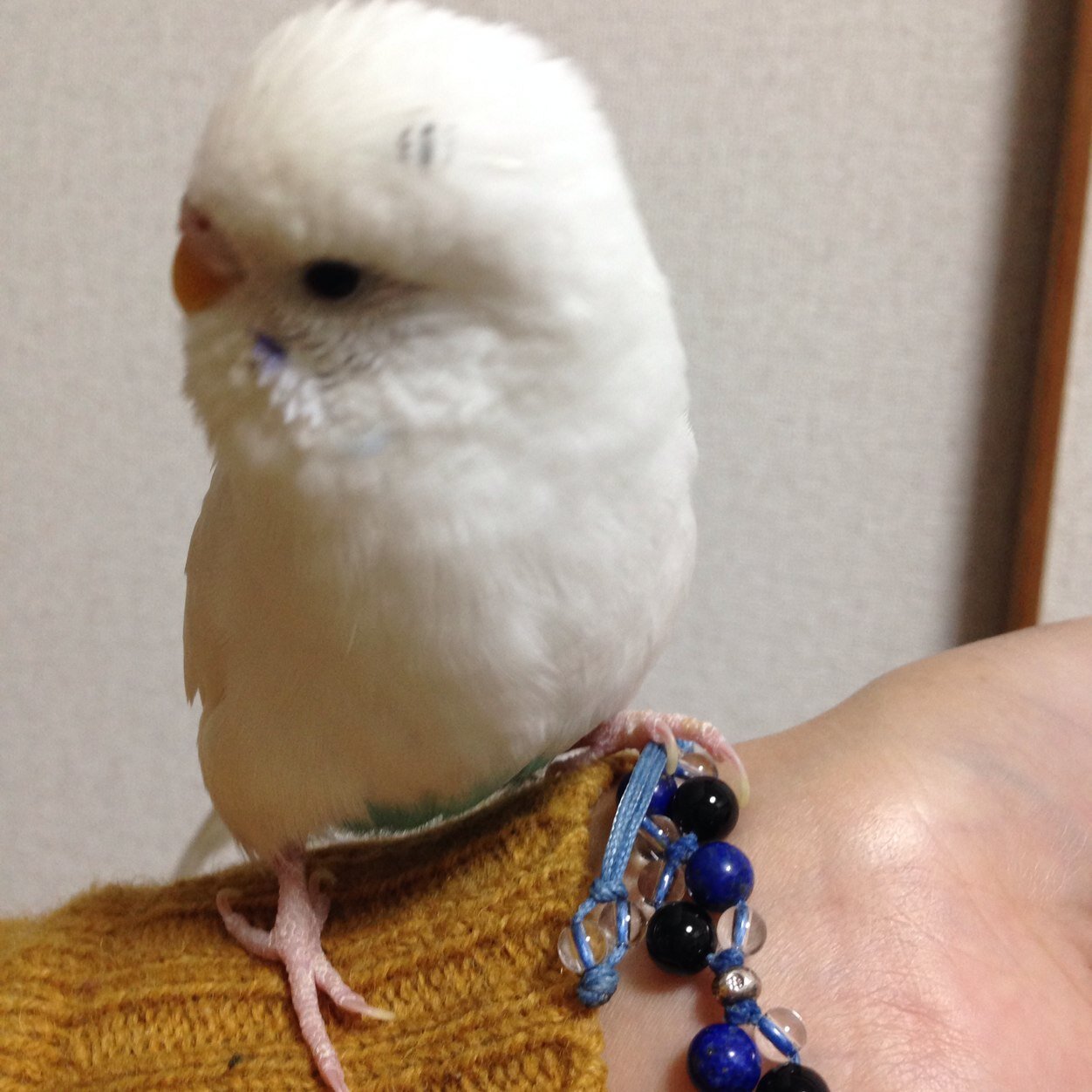 roko_roko_yeah's profile picture. 在宅療養の息子のお世話人。変わりゆく症状と社会情勢に目をまわしてます。睡眠負債に怯えつつ、ぐうたらに余念のない日々。テレビ、音楽、スポーツ、動物、⚾️🏀#41、#13