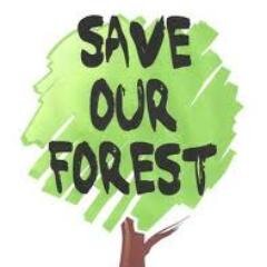 Dedicated to the continued fight against illegal wood chopping and mass forest destruction