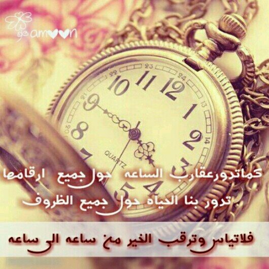 nawafalsharivi2's profile picture. 