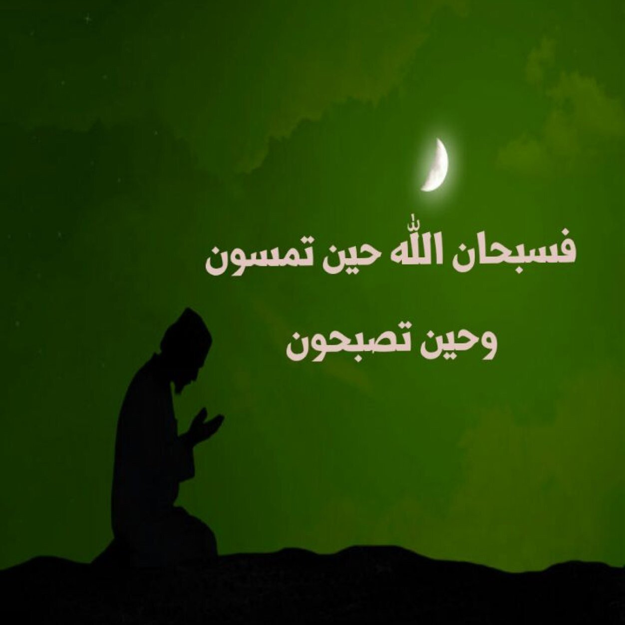 msdfg22's profile picture. 