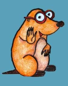 talpademocratic's profile picture. Siamo un gruppo di persone che fanno politica per passione. Abbiamo alle spalle storie e percorsi diversi, ma oggi ci ritroviamo nel PD.