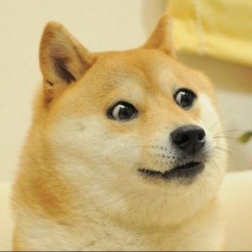 wow so tweet very text much talk