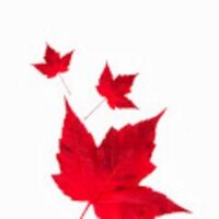 Kashmir (@kashmiruk) 's Twitter Profile