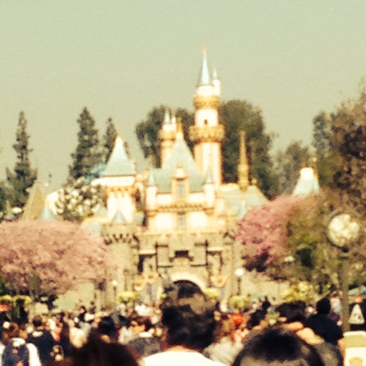 Premium Passholder all photos taken w/ an iPhone 5s (all photos are mine) Also posting amazing Disney Tattoos found on the Web (Not Mine)  I follow back