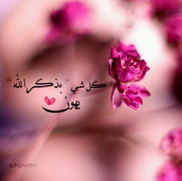 الكتاب والسنه