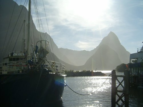 critter81's profile picture. 