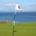 Swing Fore Joy (@swingforejoy) Twitter profile photo Swing Fore Joy (@swingforejoy) Twitter profile photo