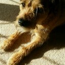 colin black - @colwinok - Twitter