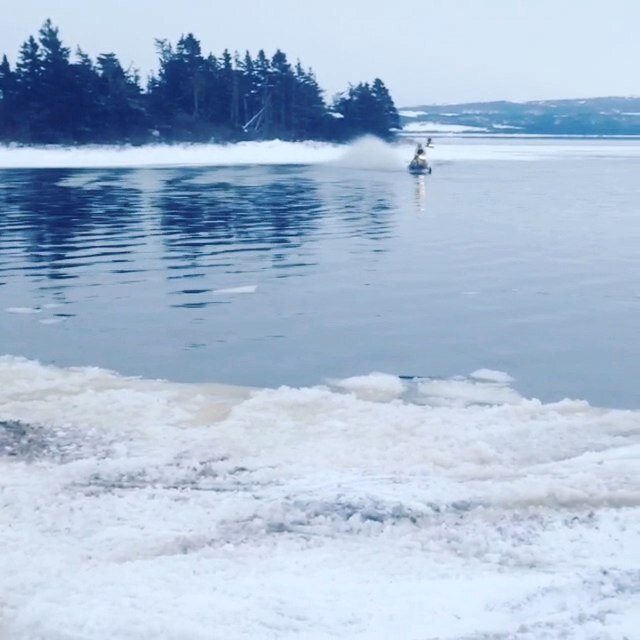 chubbychicken8's profile picture. 