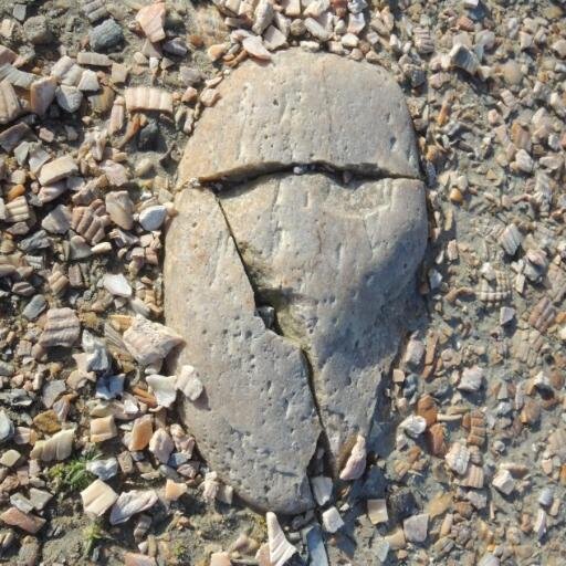 djehudi's profile picture. 