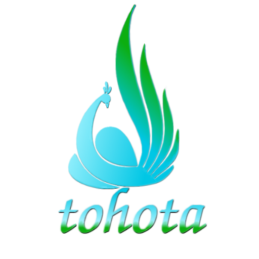 tohota2's profile picture. 