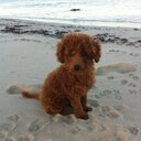 Penny Dowd - @DowdPenny - Twitter