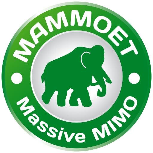 EU FP7 funded project. MAMMOET: MAssive MiMO for Efficient Transmission