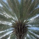 katina singleton - @KatinaMomof3 - Twitter