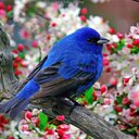 sami kaya - @kayasami55 - Twitter