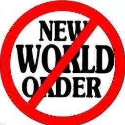 DAVIDFREDERICO's profile picture. GEMEOS/LEAO/SERPENTE