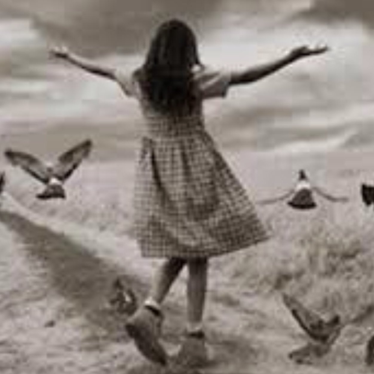 eng_alenezi's profile picture. 