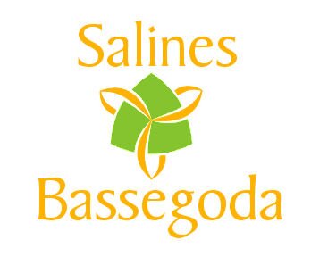 SalinBassegoda Profile Picture