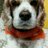 herleng_e's profile image