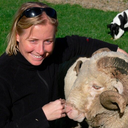 louisemenagerie's profile picture. Teacher at Hale School