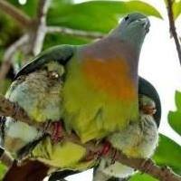 VENEZOLANA. Diseñadora de Obras Civiles. Y orgullosa de ser mamá!