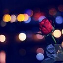 عنود محمد الشمري (@11Aziza) Twitter