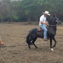 genaro moran - @D345Gato - Twitter