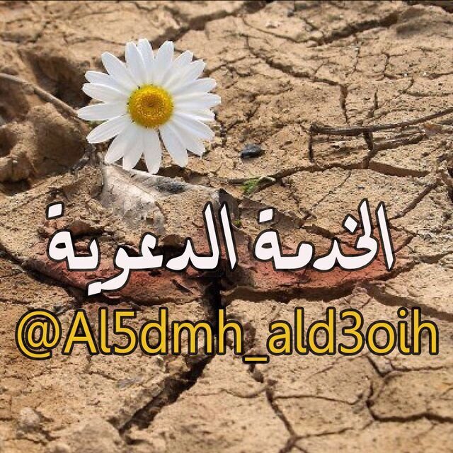 الخدمة الدعوية { مقاطع مؤثرة ، مقاطع مفيدة ، قصص ومواعظ ، محاضرات ، تلاوات تشرح الصدور ، اناشيد }
