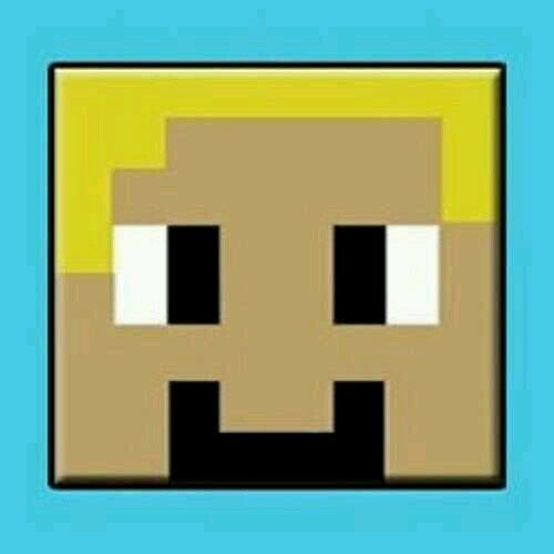 Stampy, Squid, Lee, Finnball, AmyLee, Climmax, Mousie, Salems, and Miss pink ROCK!!!!!!!!