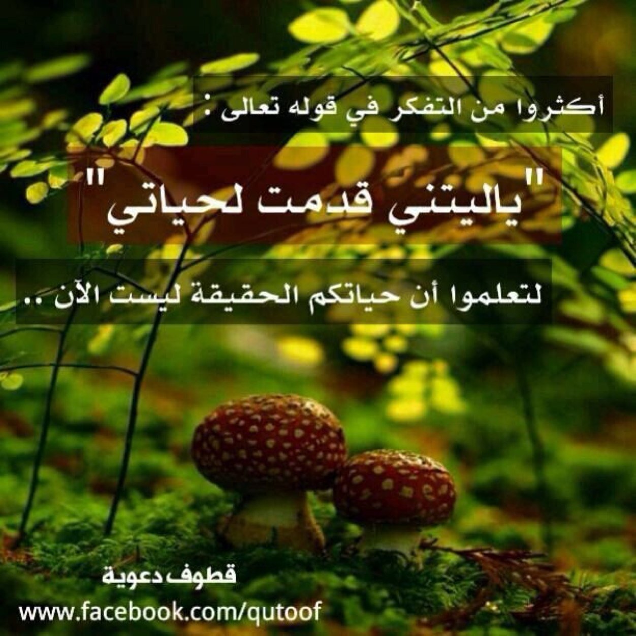 اللهم اغفر لي ولوالدي ولجميع المسلمين