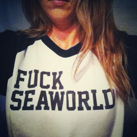 bernitimm's profile picture. Tortilla española a la alemana.