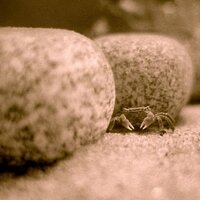 Declan Connolly (@declansconnolly) 's Twitter Profile