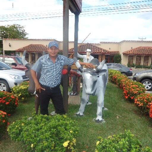 MicrosRamiro's profile picture. 