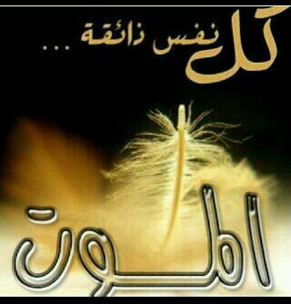 تٌبْ آلُﮯ آلُلُہ قبْلُ آلُمۆتٌ
ۆتٌفَگر فَيَ صٍحٍيَيَفَہ قدِ آسۆدِتٌ
ۆفَيَ ڏنْۆۆبْ مآتٌحٍصٍﮯ لُۆ آنْہآ عدِتٌ
ۆفَيَ نْفَس گلُمآ نْصٍحٍتٌ صٍدِتٌ