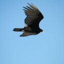 jonathan hurst - @gus_hurst - Twitter