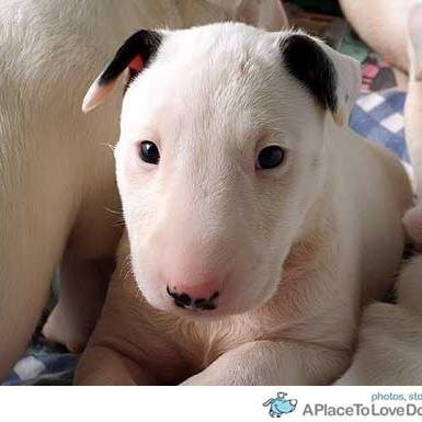 JakotJannie's profile picture. 