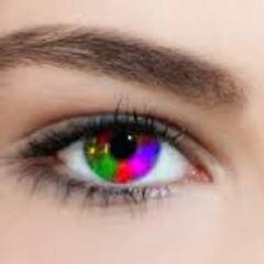 tintorim's profile picture. 