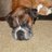 rees3412's profile image