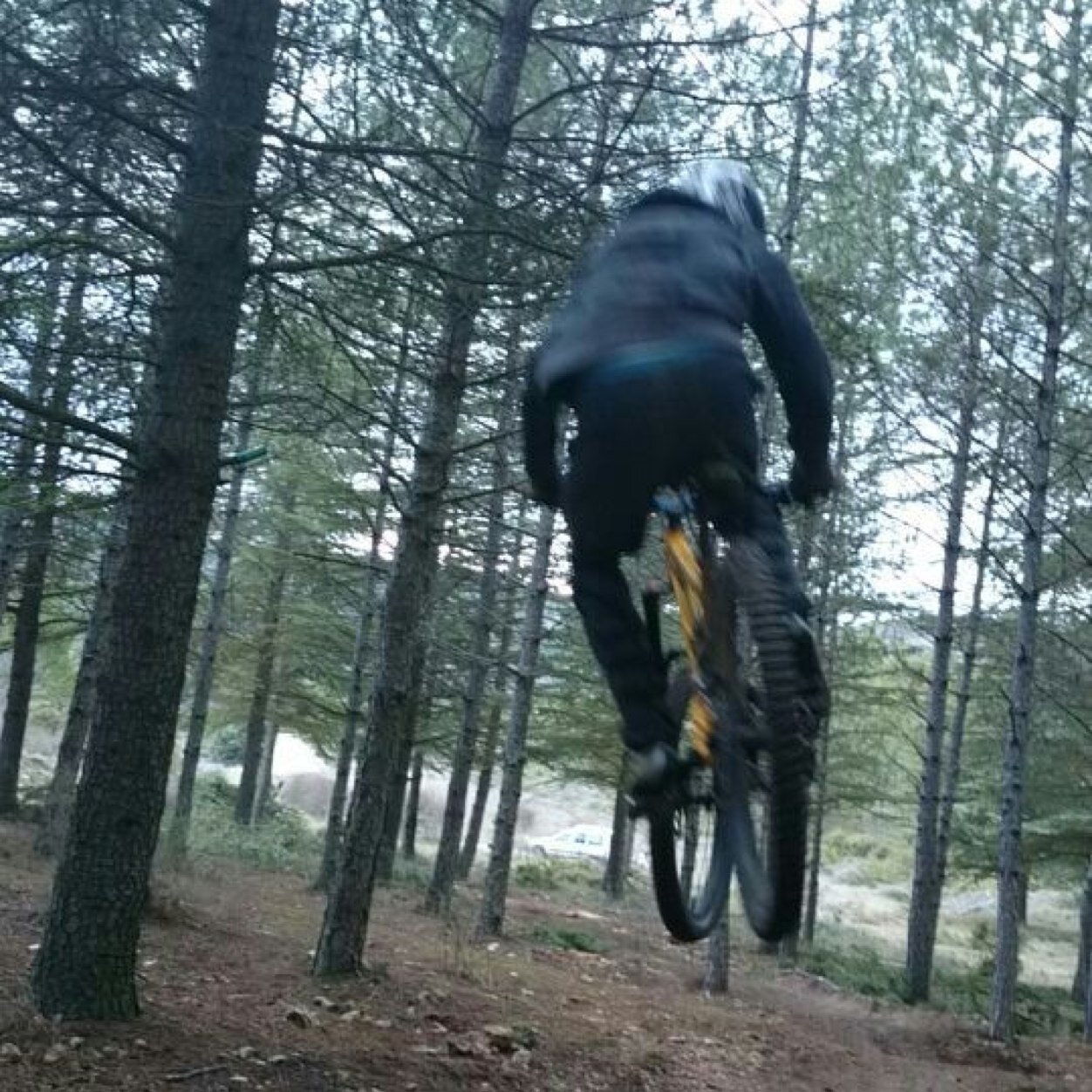 Dani_Argudo7's profile picture. Mi vida consiste en quemar adrenalinaa!!!!!!!!!! I LOVE DOWNHILL
