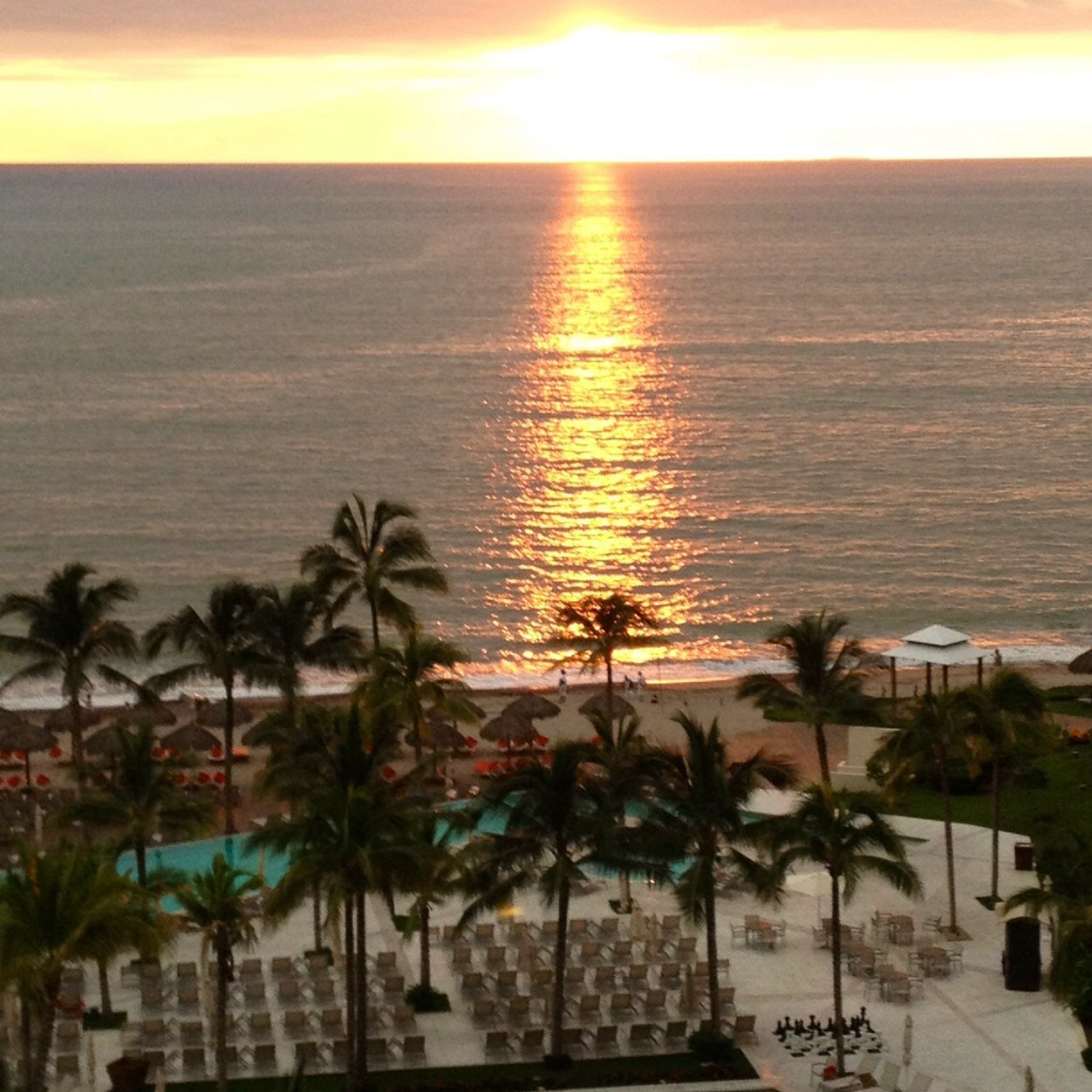 ftracy7's profile picture. Sexual Health Educator, Dog Lover, Notary