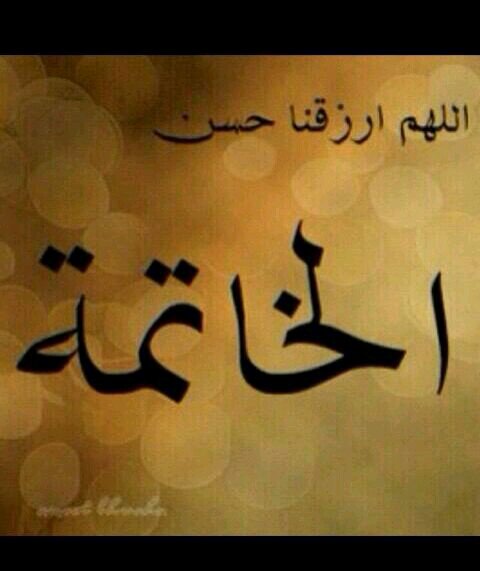 asd_fatn's profile picture. 